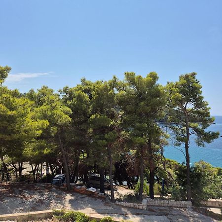 Apartment Kristic - Saplunara, Mljet Babino Polje Exterior photo