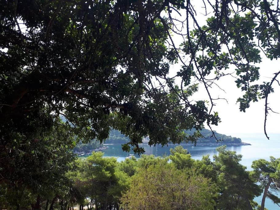 Apartment Kristic - Saplunara, Mljet Babino Polje Exterior photo