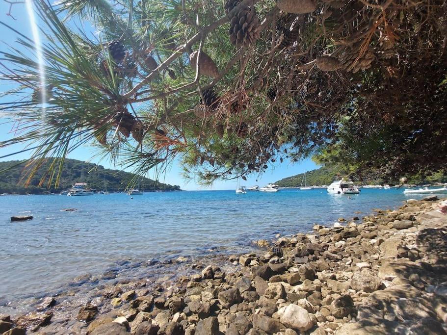 Apartment Kristic - Saplunara, Mljet Babino Polje Exterior photo
