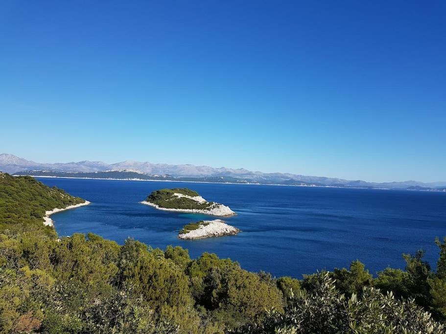 Apartment Kristic - Saplunara, Mljet Babino Polje Exterior photo